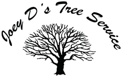Joe D. Tree Service